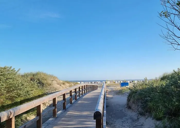 Erik S Strandhaus *